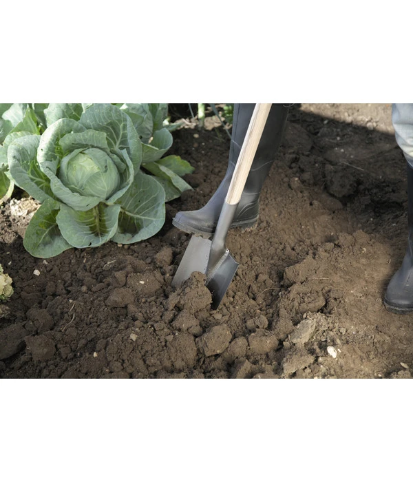 Freund Victoria Bauspaten 4 Freund Victoria Bauspaten – Bild 2