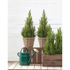 Zink-Gießkanne, 9 L, Grün -Angebote Biohort Store 1241272 WE MO 001 BlechgiesskanneFuerDenGartenBlechgiesskanneGruen9L