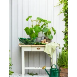 Zink-Gießkanne, 9 L, Grün -Angebote Biohort Store 1241272 WE MO 004 BlechgiesskanneFuerDenGartenBlechgiesskanneGruen9L