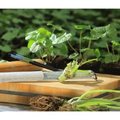 Wasabi -Angebote Biohort Store 20120718 WE MO 002 Wasabi Gs Reibe Matte Totale