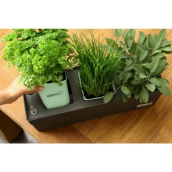 GREENBAR® Wasserstandsanzeiger -Angebote Biohort Store 20150713 338 greenbar steps 4 studio herzig 1