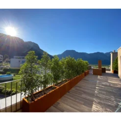 Palatino Cortenstahl-Pflanzgefäß Lotte -Angebote Biohort Store 2015279 WE MO 002 PalatinoPflanzkastenLotte100