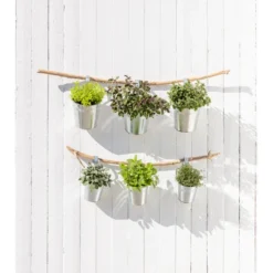 Dehner Gourmet Garten Strauchbasilikum 'Magic Blue' -Angebote Biohort Store 20181011 PR MO 003 Kraeuter 04