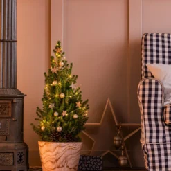 Geschmückter Weihnachtsbaum Loxley, Mit Lichterkette, Ca. H45 Cm 5 Geschmückter Weihnachtsbaum Loxley, Mit Lichterkette, Ca. H45 Cm -Angebote Biohort Store 20220120 6202071 6202048 WE MO 001 WeihnachtsBaumLoxley28cmLED