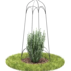 Dehner Obelisk Tenda -Angebote Biohort Store 2028009 WE MO 001 TendaKlein