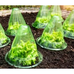 Windhager Pflanzenhut, Ø24 Cm, 10 Stk. -Angebote Biohort Store 2062289 WE MO 001 WindhagerPflanzenhut