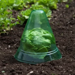 Windhager Pflanzenhut, Ø24 Cm, 10 Stk. -Angebote Biohort Store 2062289 WE MO 002 WindhagerPflanzenhut