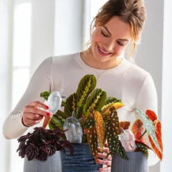 Scheurich Wasserspeicher Bördy XL -Angebote Biohort Store 220527 5356548 WE MO 001 ScheurichWasserspeicherBirdy