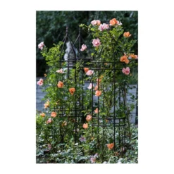 Dehner Premium Obelisk Odin 17 Dehner Premium Obelisk Odin -Angebote Biohort Store 2480069 2480093 2480119 WE MO 006 DehnerPremiumObeliskOdinRankhilfe