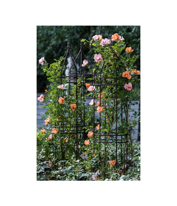 Dehner Premium Obelisk Odin 8 Dehner Premium Obelisk Odin – Bild 6