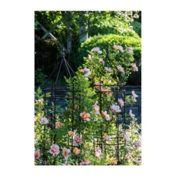 Dehner Premium Obelisk Odin 19 Dehner Premium Obelisk Odin -Angebote Biohort Store 2480069 2480093 2480119 WE MO 009 DehnerPremiumObeliskOdinRankhilfe