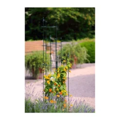 Dehner Halbobelisk -Angebote Biohort Store 2481596 WE MO 001 DehnerHalbobelisk