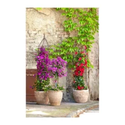 Dehner Halbobelisk -Angebote Biohort Store 2481976 2481596 2481927 WE MO 001 DehnerHalbobelisk 1