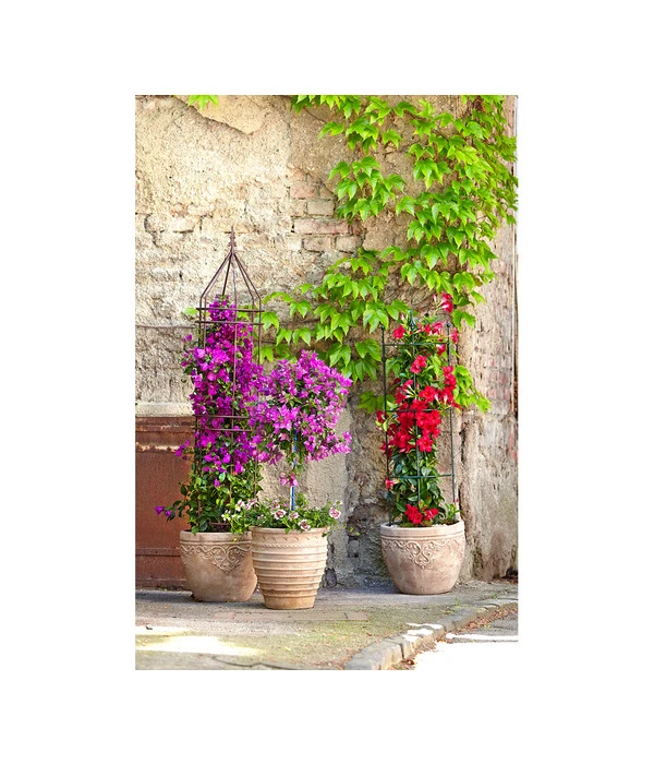 Dehner Premium Obelisk Odin 11 Dehner Premium Obelisk Odin – Bild 9