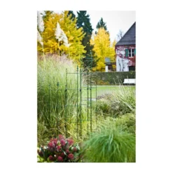 Dehner Halbobelisk -Angebote Biohort Store 2481976 WE MO 001 Halbobelisk