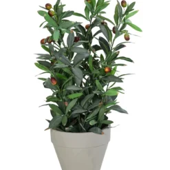 Dehner Kunstpflanze Olivenpflanze