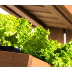 Hecht Hochbeet Cube 4, Ca. B82/H145/T50 Cm -Angebote Biohort Store 3060399 WE DE 003 HechtHochbeetCube4NEU