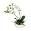 Dehner Kunstpflanze Mini-Orchidee Phalaenopsis, Weiß 2 Dehner Kunstpflanze Mini-Orchidee Phalaenopsis, Weiß -Angebote Biohort Store 3134897 WE FS 001 DPIPhalaenopsis25cm
