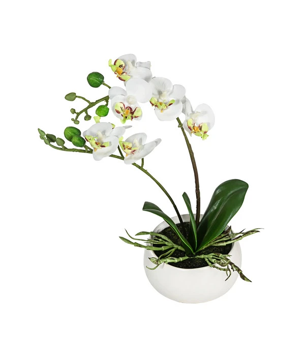 Dehner Kunstpflanze Mini-Orchidee Phalaenopsis, Weiß 3 Dehner Kunstpflanze Mini-Orchidee Phalaenopsis, Weiß