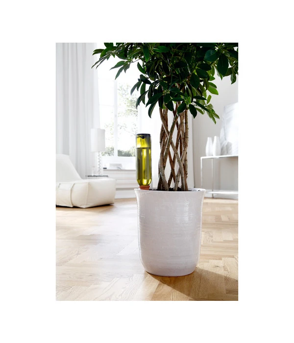 Bio Green Tonkegel Hydro Wine 4 Bio Green Tonkegel Hydro Wine – Bild 2