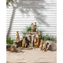 Dehner Polyresin-Erdmännchenfamilie, 16 X 14 X 48 Cm -Angebote Biohort Store 3238540 WE MO 002 DehnerPolyresinErdmaennchenfamilieGartendeko