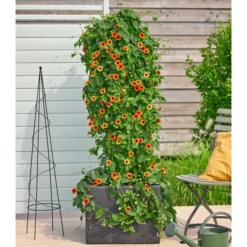 Metall-Obelisk -Angebote Biohort Store 3536620 3536653 3536679 WE MO 001 MetallObeliskRankhilfe