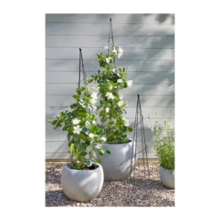 Metall-Obelisk -Angebote Biohort Store 3536620 3536653 3536679 WE MO 001 MetallObeliskRankhilfenRankgitterRosengitter