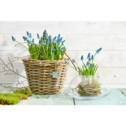 Rattan-Topf, Rund, Grau-braun -Angebote Biohort Store 3679347 3679362 3679578 WE MO 001 RattanTopfrundbraun