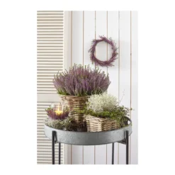 Rattan-Topf, Rund, Grau-braun -Angebote Biohort Store 3679347 3679362 3679578 WE MO 002 Rattantopf