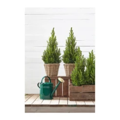 Rattan-Topf, Rund, Grau-braun -Angebote Biohort Store 3679347 3679362 3679578 WE MO 003 Rattantopf