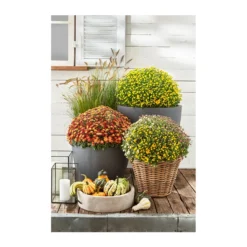 Rattan-Topf, Rund, Grau-braun -Angebote Biohort Store 3679347 3679362 3679578 WE MO 012 RattanTopfrundbraun