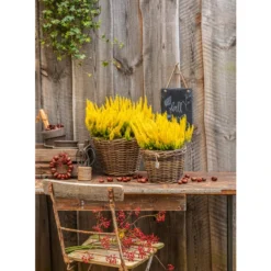 Rattan-Topf, Rund, Grau-braun -Angebote Biohort Store 3679347 3679362 3679578 WE MO 022 RattanTopfrundbraun