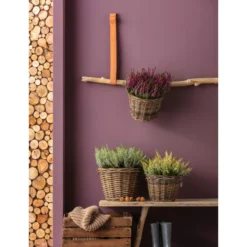 Rattan-Topf, Rund, Grau-braun -Angebote Biohort Store 3679347 3679362 3679578 WE MO 024 RattanTopfrundbraun