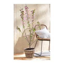 Rattan-Topf, Rund, Grau-braun -Angebote Biohort Store 3679347 PR MO 005 RattanTopf