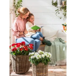 Van Der Leeden Rattan-Pflanzkorb, Grau-braun -Angebote Biohort Store 4111183 WE MO 005 Rattankorb