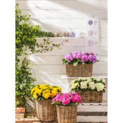 Van Der Leeden Rattan-Pflanzkorb, Grau-braun -Angebote Biohort Store 4111183 WE MO 014 RattanPflanzkorbgraubraun