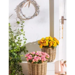 Van Der Leeden Rattan-Pflanzkorb, Grau-braun -Angebote Biohort Store 4111183 WE MO 015 RattanPflanzkorbgraubraun