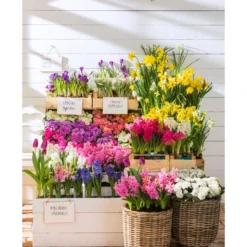 Van Der Leeden Rattan-Pflanzkorb, Grau-braun -Angebote Biohort Store 4111183 WE MO 017 RattanPflanzkorbgraubraun