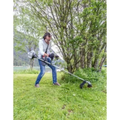 AL-KO Benzinmotorsense BC 223 B -Angebote Biohort Store 4291639 WE MO 003 AlkoBenzinmotorsenseBC223B