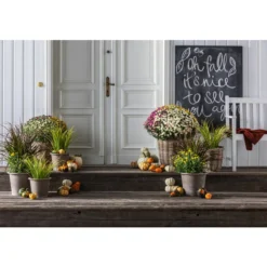 Van Der Leeden Rattan-Pflanzkorb, Grau-braun -Angebote Biohort Store 4316279 4316295 4316303 WE MO 001 TerrkottaTopfVento