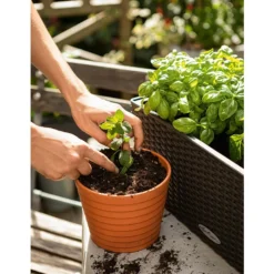 LECHUZA® VEGGIEPON Gemüsepflanzsubstrat -Angebote Biohort Store 4365029 WE MO 003 LechuzaVeggiepon