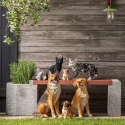 Dehner Polyresin-Französische Bulldogge Welpe, Ca. B16,5/H18/T13 Cm -Angebote Biohort Store 4416525 4067393 4416392 3255155 3255239 3255072 WE MO 001 DehnerPolyresinHaustiere