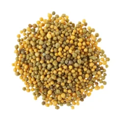 Substral® Osmocote® Langzeit Depotdünger Balkonblumen -Angebote Biohort Store 5170105 BildD 001 SubstralOsmocoteBalkonblumenDuengerBalkonblDuengerOsmocote