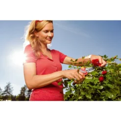 Wolf-Garten Wolf Gartenschere RR 4000 15 Wolf-Garten Wolf Gartenschere RR 4000 -Angebote Biohort Store 5174222 MO 002 GARTENSCHERERR4000