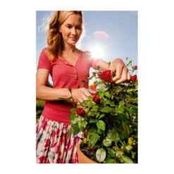 Wolf-Garten Wolf Gartenschere RR 4000 17 Wolf-Garten Wolf Gartenschere RR 4000 -Angebote Biohort Store 5174222 MO 004 GARTENSCHERERR4000