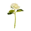 Kunstblume Hortensie, 47 Cm -Angebote Biohort Store 5265723 BildFS 001 DekorativeKunstblumeHortensieHortensie47CmCremeX1