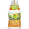 COMPO Kakteendünger, Flüssig, 250 Ml -Angebote Biohort Store 5345327 WE FS 001 COMPOKakteenduengerfluessig