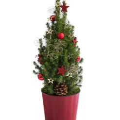 Geschmückter Weihnachtsbaum Antik
