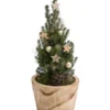 Geschmückter Weihnachtsbaum Loxley -Angebote Biohort Store 6202030 WE FS 001 WeihnachtsbaeumchenLoxley20cm