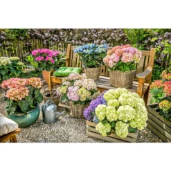 Blechgießkanne Für Den Garten 6 Blechgießkanne Für Den Garten -Angebote Biohort Store 623538 5178942 WE MO 001 BlechgiesskannefuerdenGarten